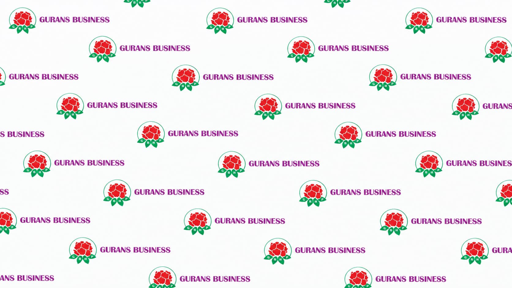 Gurans Business Hero Background